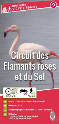 N9 flamants sel